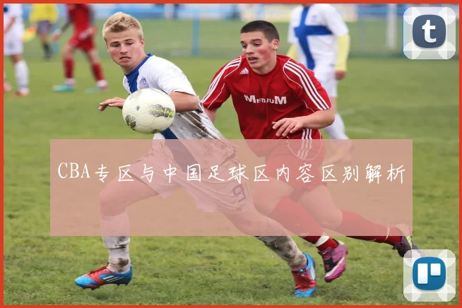 CBA专区与中国足球区内容区别解析