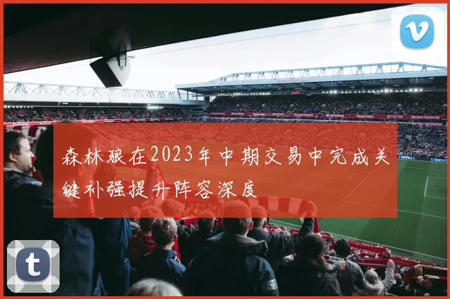 森林狼在2023年中期交易中完成关键补强提升阵容深度