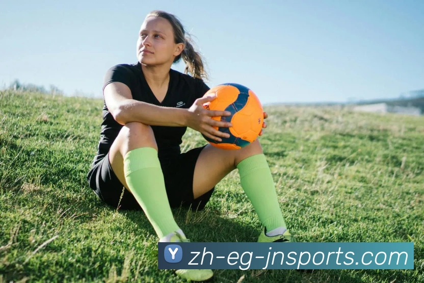 江南体育平台生态图